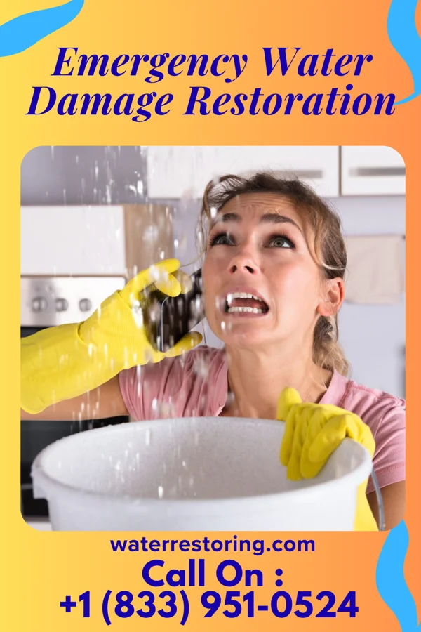 Emergency Water Damage Restoration in Lyman, WA
